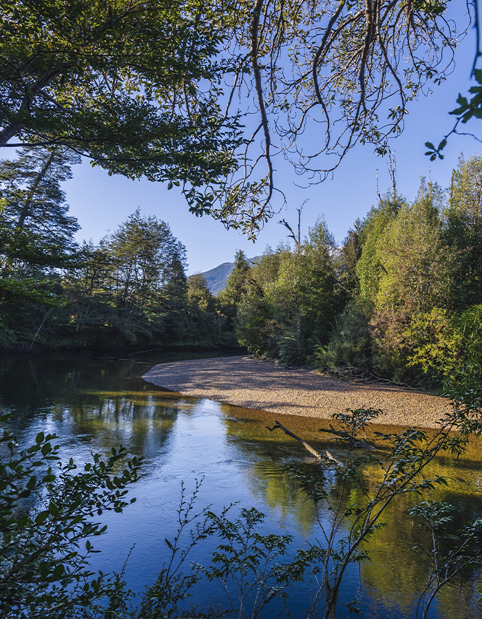 Río Risopatrón